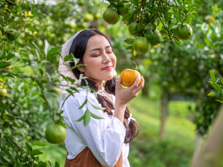 Orchard to Jar: Bitter Orange Marmalade Creation in a Sunlit Grove